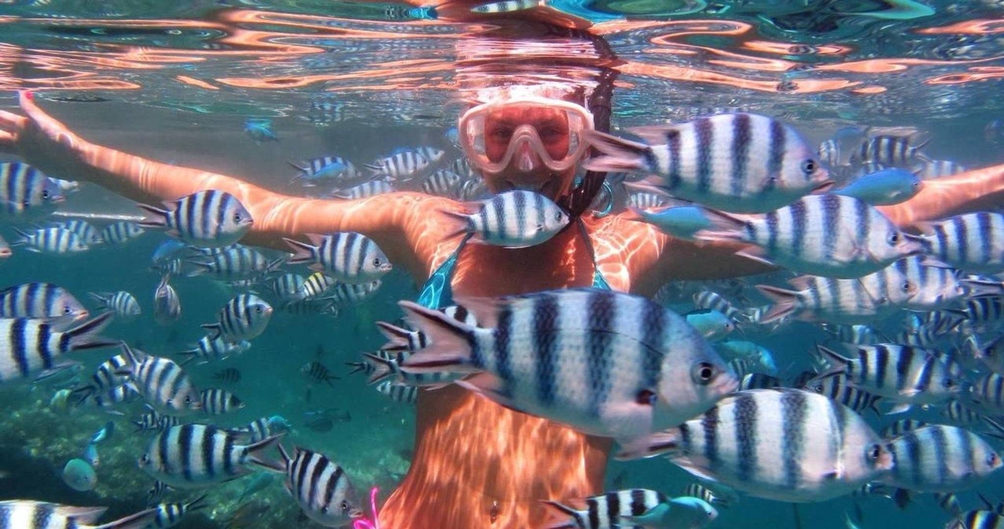 Turtle Canyon Snorkeling Adventure photo