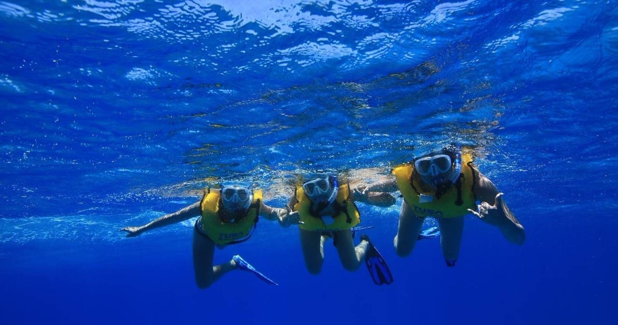 Turtle Canyon Snorkeling Adventure photo