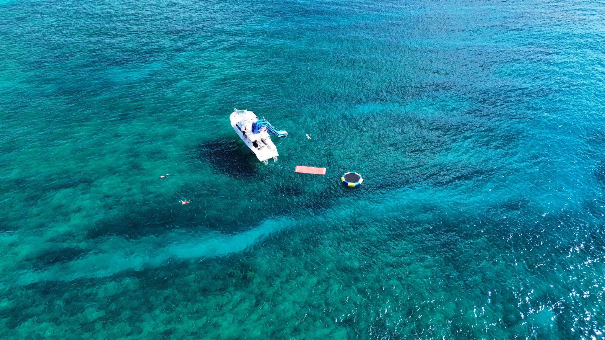Deluxe Waikiki Snorkeling and Wildlife Cruise photo