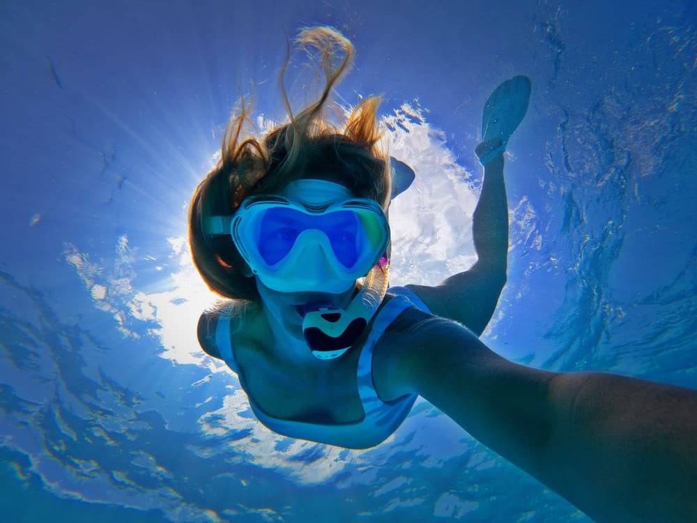 Deluxe Waikiki Snorkeling and Wildlife Cruise photo