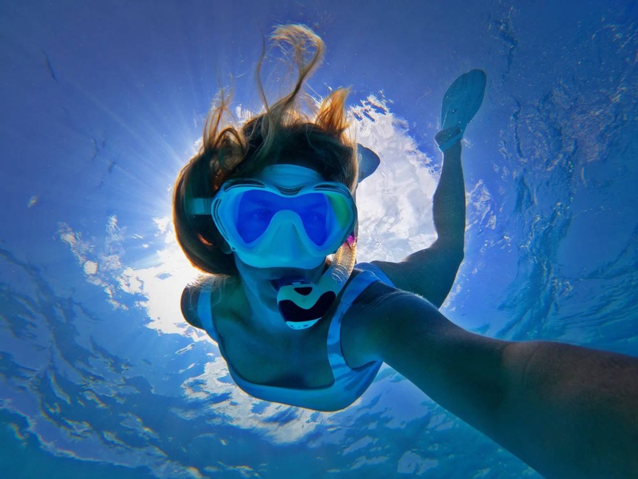 Deluxe Waikiki Snorkeling and Wildlife Cruise photo