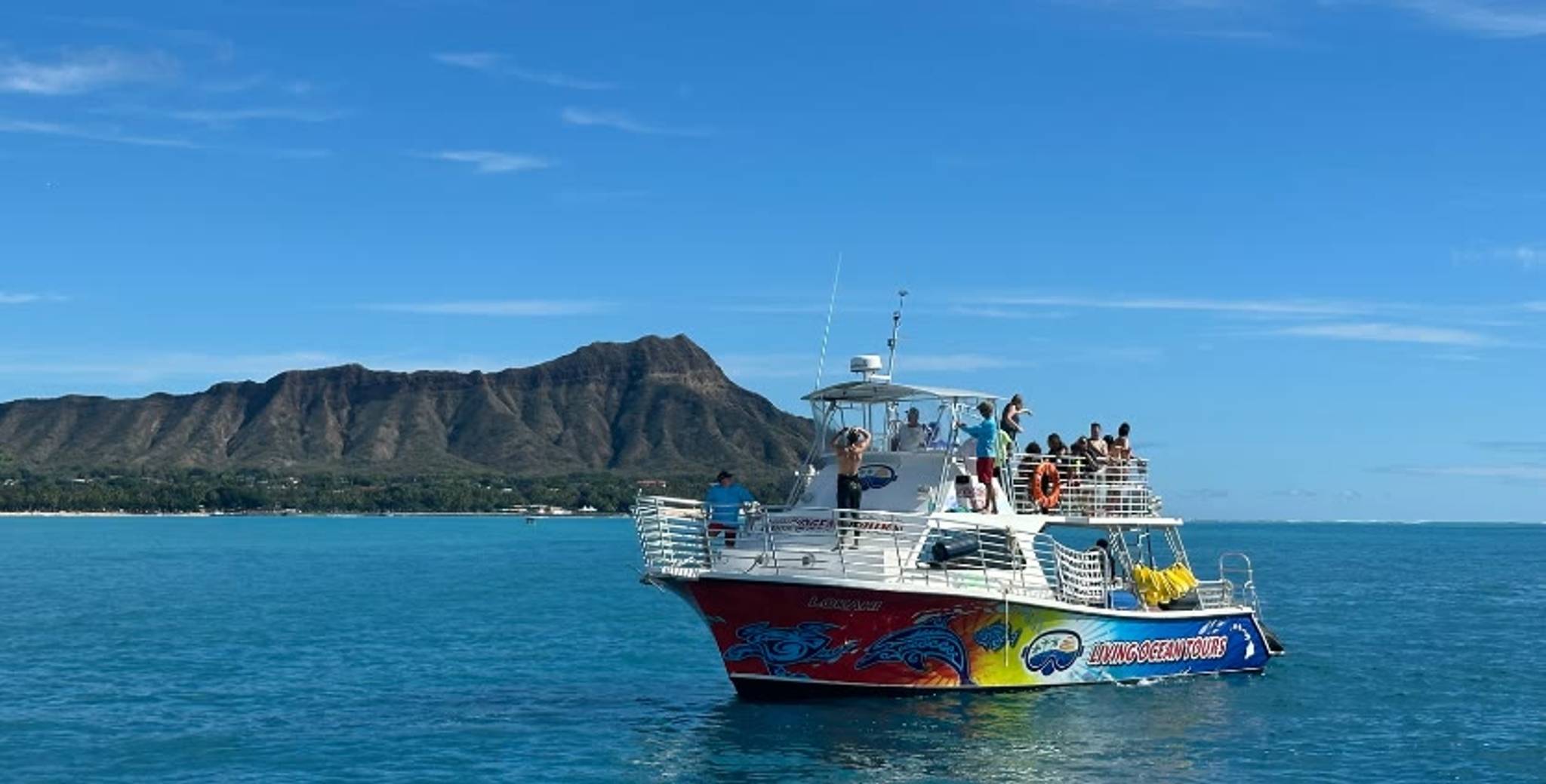 Whale Watching Waikiki photo