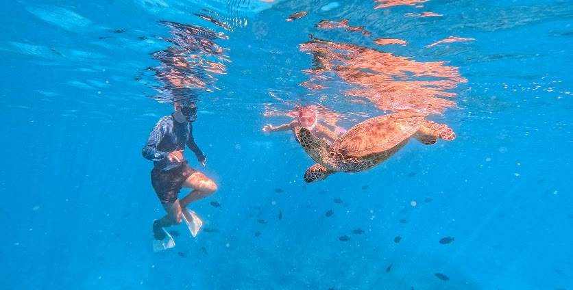 Turtle Canyon Snorkeling Adventure photo