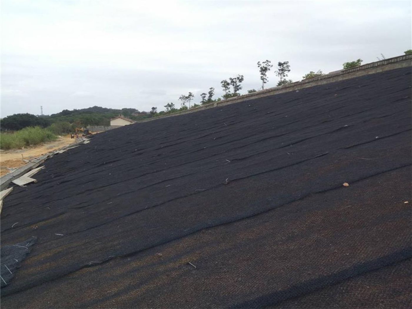 Ecological Landscape Restoration Project