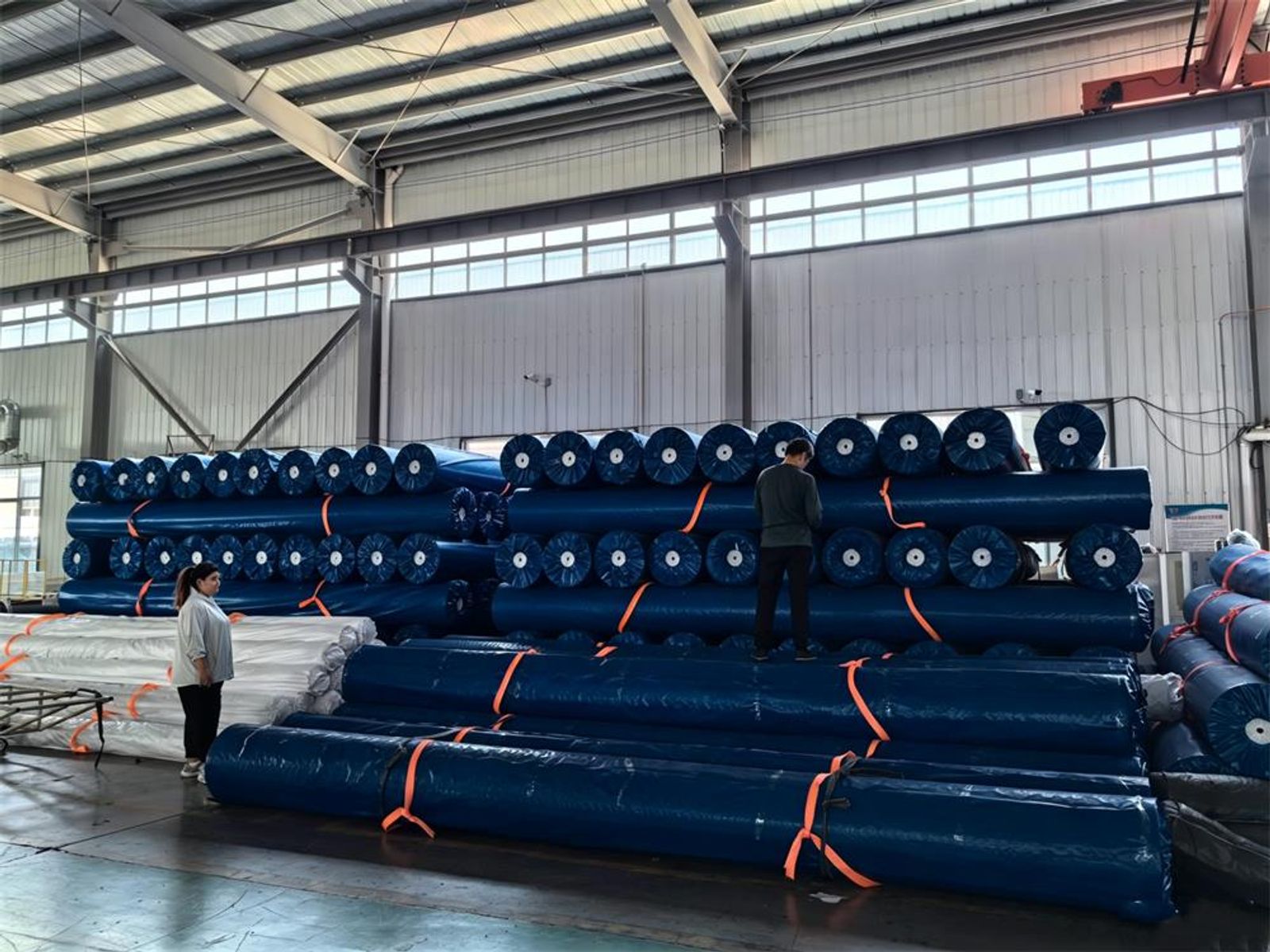 LDPE Geomembrane