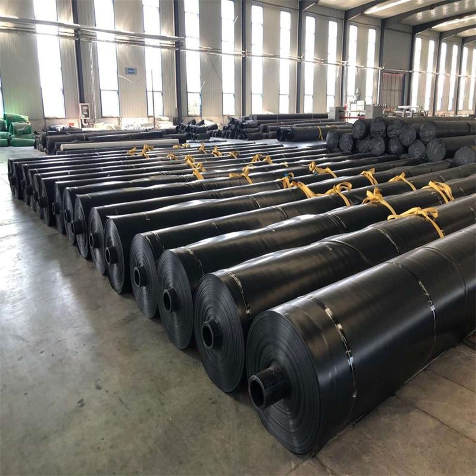 HDPE Geomembrane