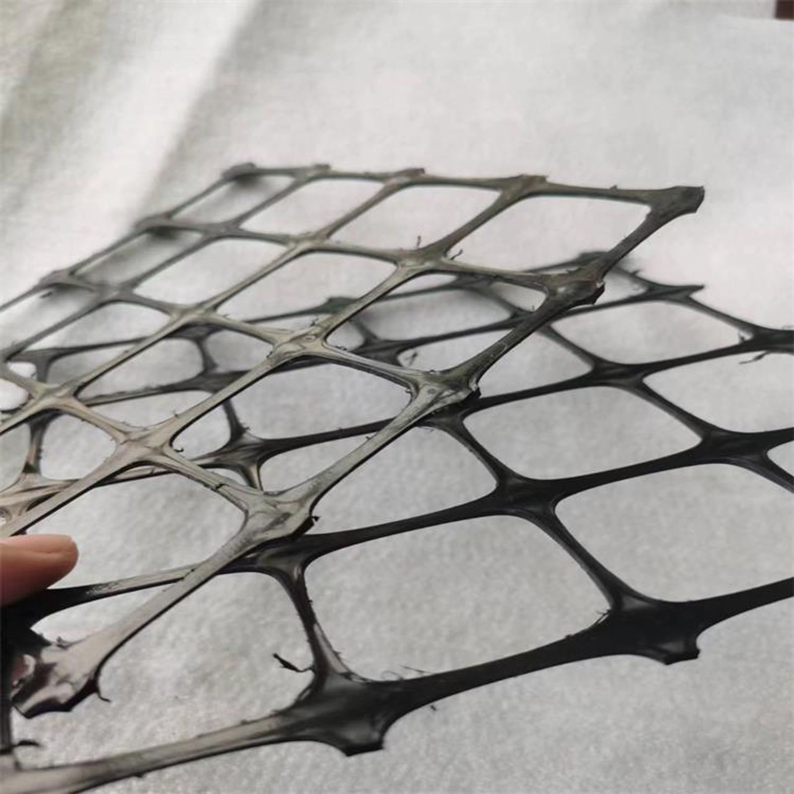 Plastic Geogrid