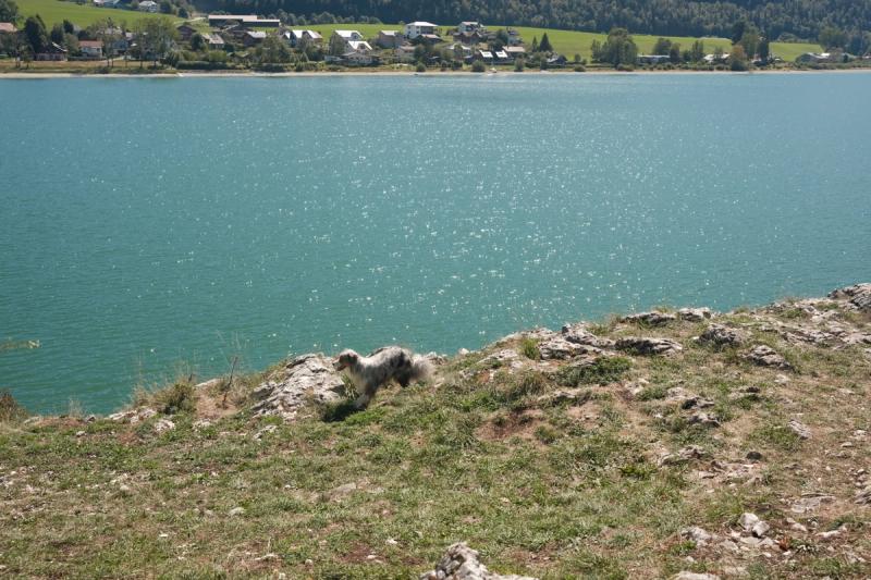 Tour du Lac de Joux, Vaud