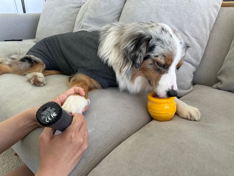 Casfuy | Dog Nail Grinder