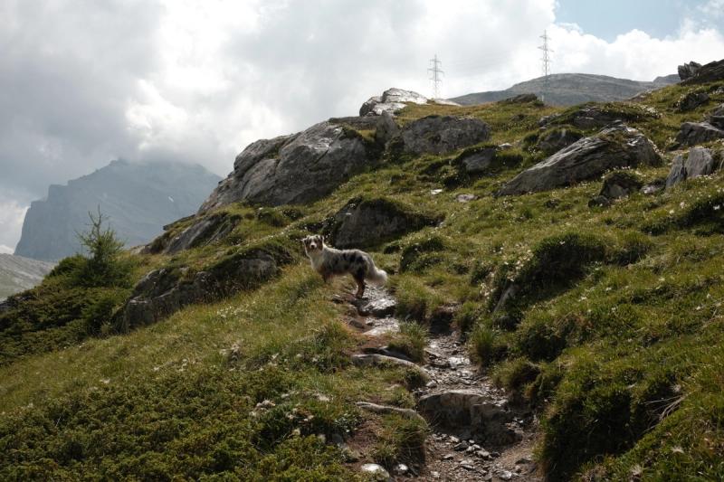 Daubensee Loop