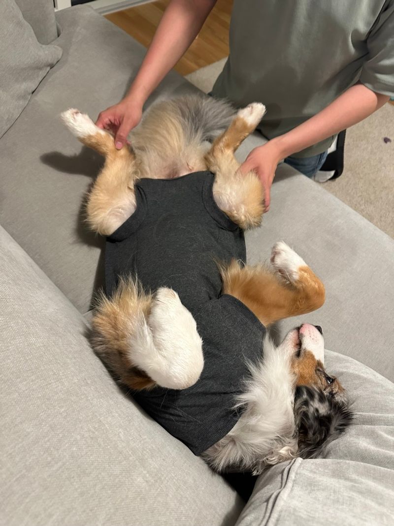 Abby being goofy in the suit