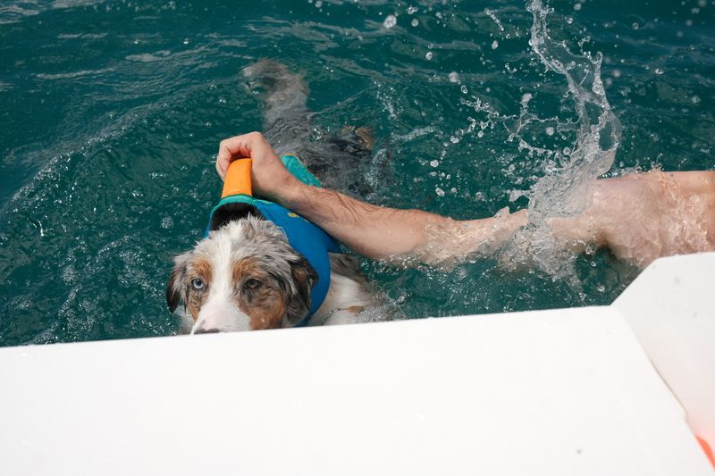 Abby in water