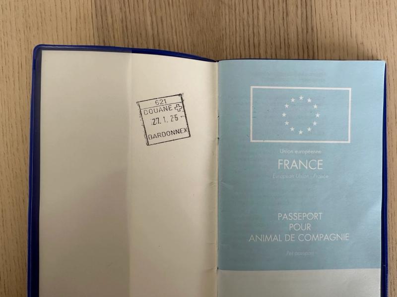 How to Import a Puppy from France to Switzerland