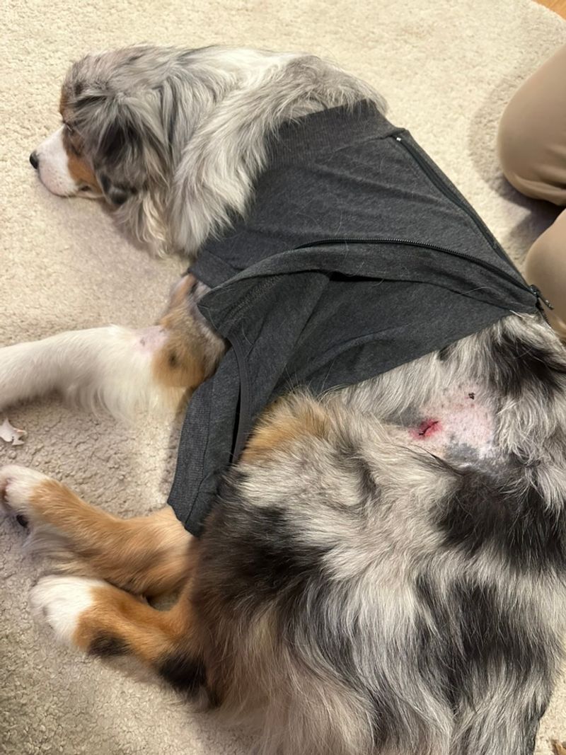 Abby's stitches on one side