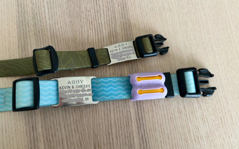 CollarTags from Boomerang | Slide-on collar tags