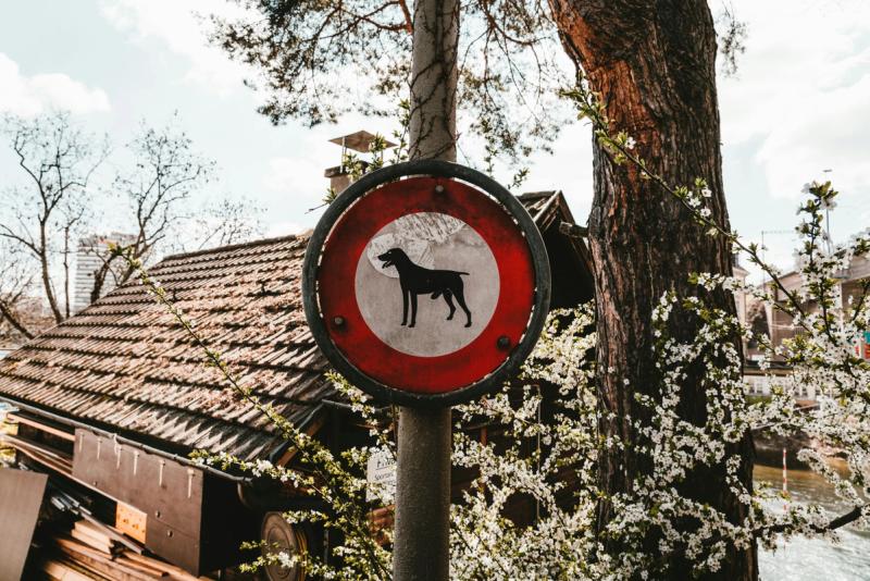 Switzerland dog leash laws by canton