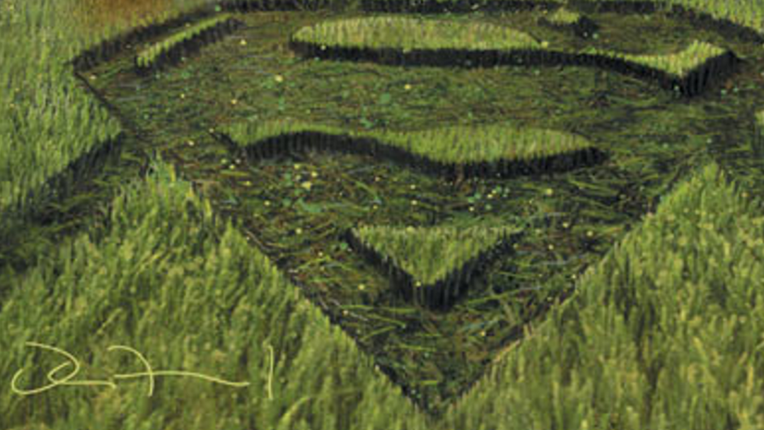 A crop circle in the shape of the Superman shield.