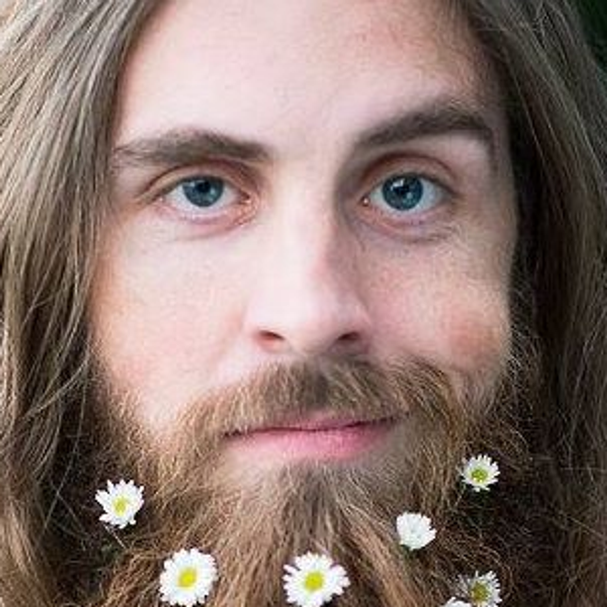 User's profile picture