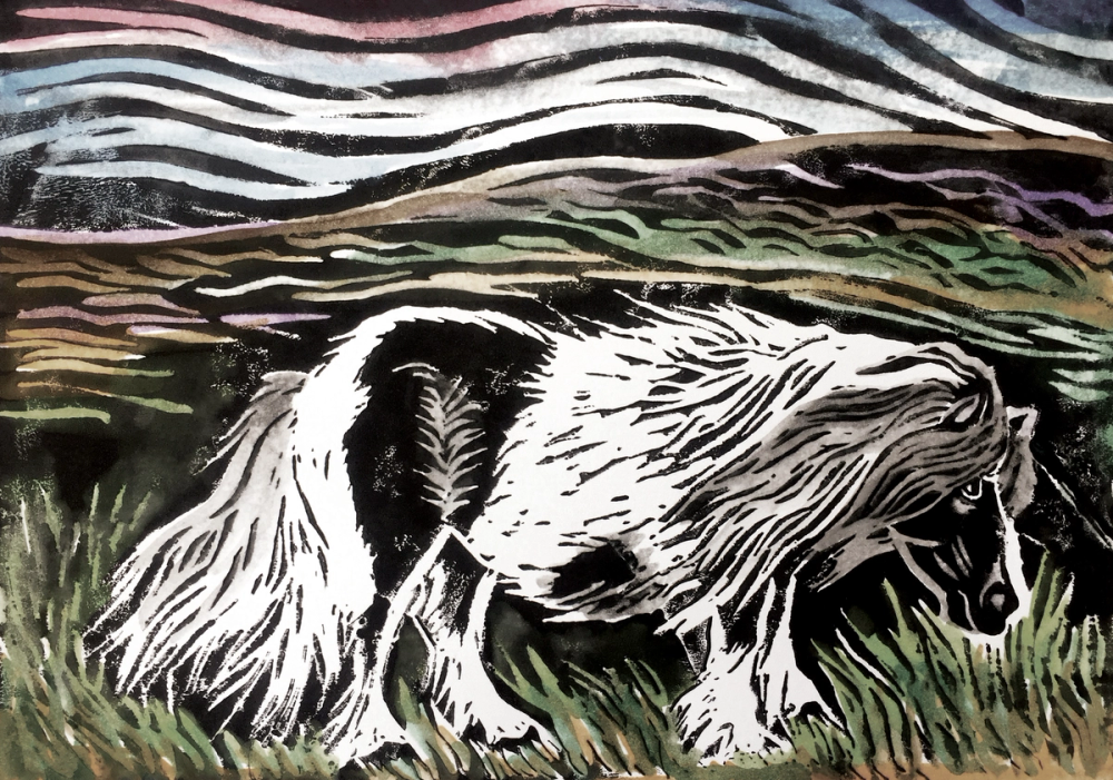 Print of a Shetland pony