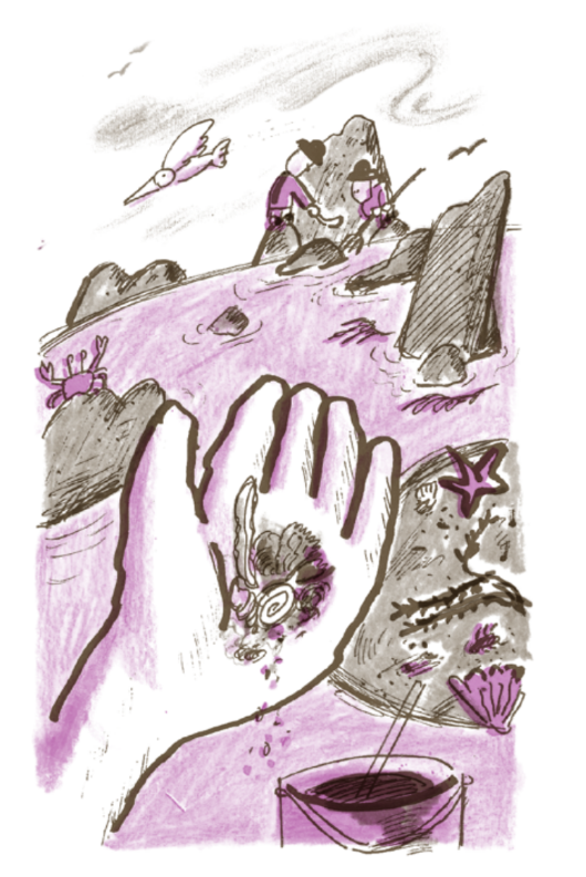 An illustration of an intertidal habitat showing a hand holding a shell