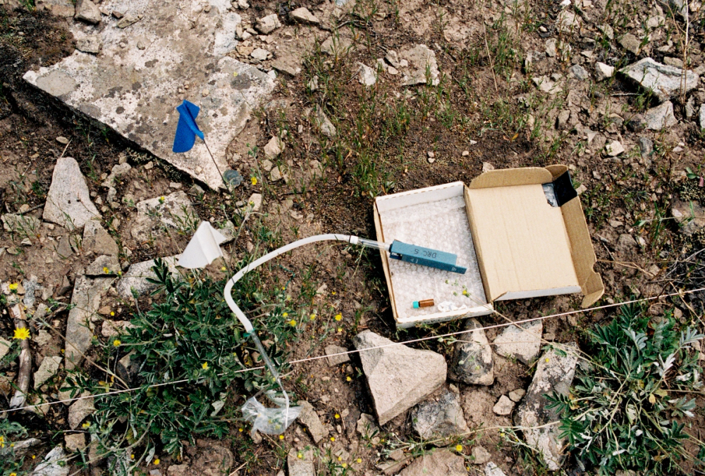 a kit for analysing flowers on the ground