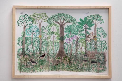 Abel Rodríguez, Bosque vega, 2019 ©SofíaToscano