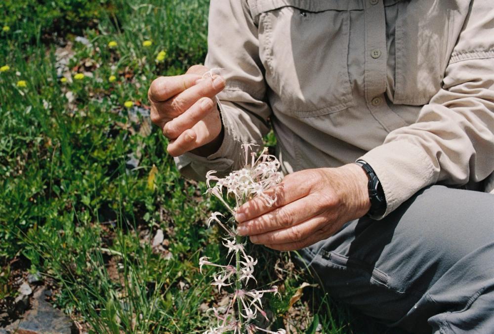 scientist holding flowers