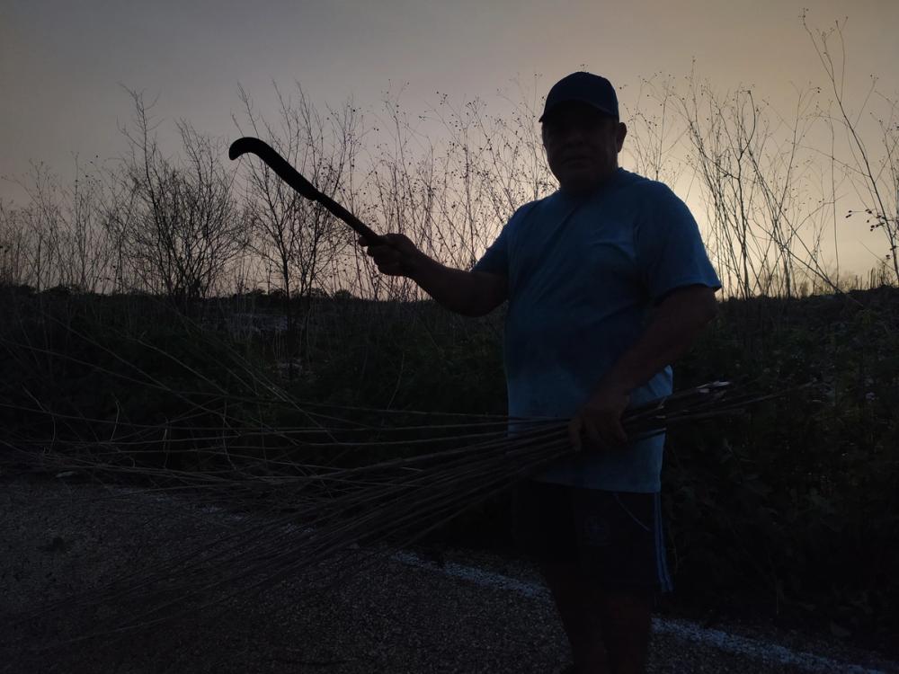 Eliezer Mendes Díaz, standing in field, as a silhouette.