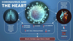 The Heart and COVID-19: What Cardiologists Need to Know