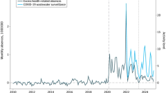 Enduring Outcomes of COVID-19 Work Absences on the US Labor Market