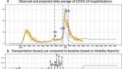 Dynamics of COVID-19 in Amazonia: A history of government denialism and the risk of a third wave