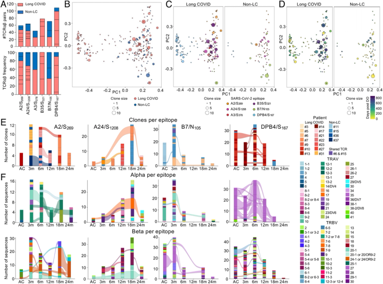 SARS-CoV-2-specific CD8+ T cells from people with long COVID establish and maintain effector phenotype and key TCR signatures over 2 years