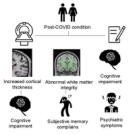 Structural brain changes in post-COVID condition and its relationship with cognitive impairment