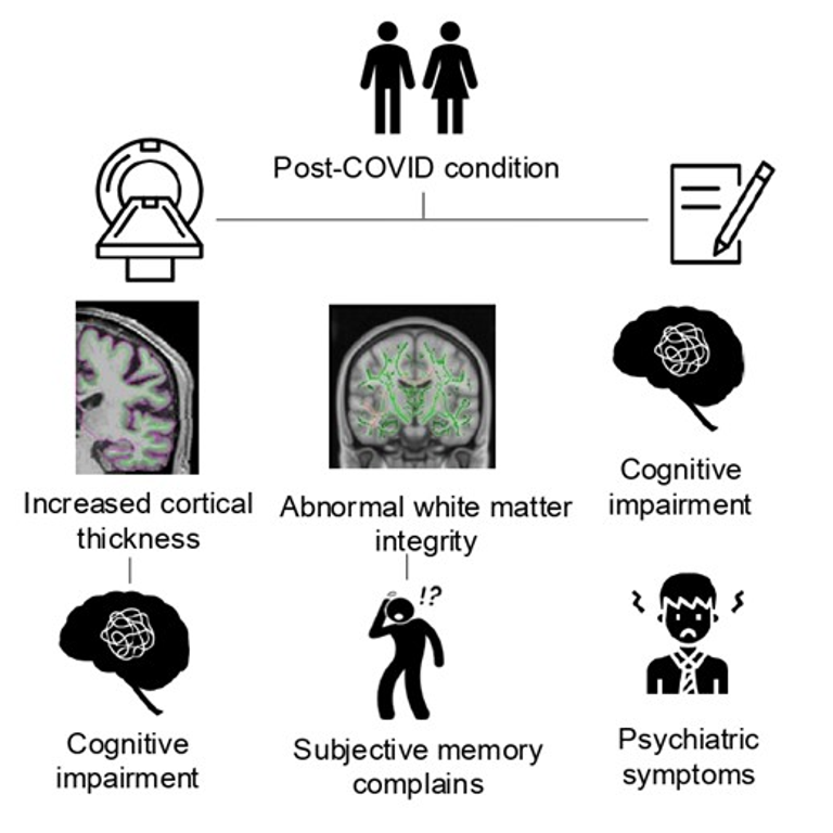 Structural brain changes in post-COVID condition and its relationship with cognitive impairment