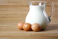 É possível pegar gripe aviária consumindo leite e ovos? Entenda