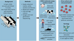 A One Health Investigation into H5N1 Avian Influenza Virus Epizootics on Two Dairy Farms