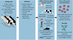 A One Health Investigation into H5N1 Avian Influenza Virus Epizootics on Two Dairy Farms