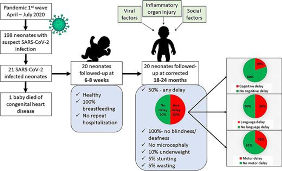 Long-Term Growth and Neurodevelopmental Outcomes of Neonates Infected with SARS-CoV-2 during the COVID-19 Pandemic at 18–24 Months Corrected Age: A Prospective Observational Study