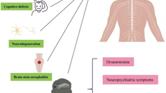 Exploring SARS-CoV-2 impact on blood-brain barrier and its composition: A review