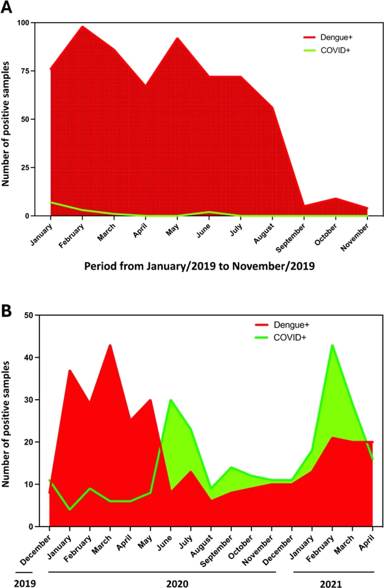Lessons and concerns about the SARS-CoV-2/DENV co-infection