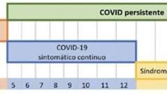 COVID persistente: prevalencia, seguimiento y uso de recursos en Atención Primaria