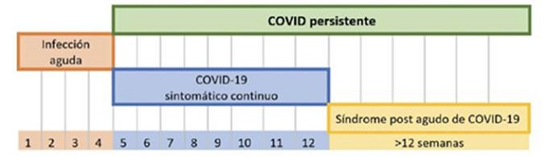 COVID persistente: prevalencia, seguimiento y uso de recursos en Atención Primaria