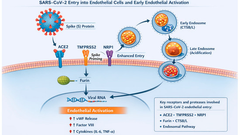 Vascular Complications of Long COVID—From Endothelial Dysfunction to Systemic Thrombosis: A Systematic Review