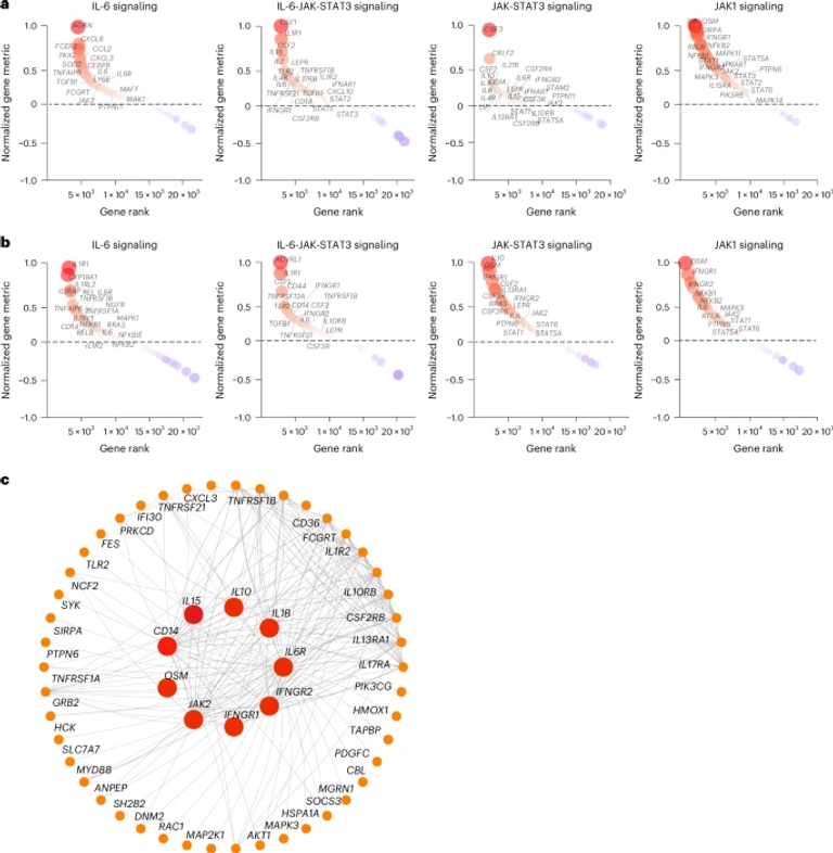 Long COVID involves activation of proinflammatory and immune exhaustion pathways