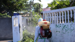 Chikungunya à Mayotte : le nombre de cas dépasse désormais le millier