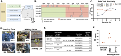 Surveillance on California dairy farms reveals multiple possible sources of H5N1 influenza virus transmission