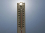 Canicule en France : déjà 7.300 morts en excès recensées cette année, selon un bilan provisoire