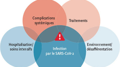 Encéphalopathie aiguë et Covid-19: hypothèses physiopathologiques