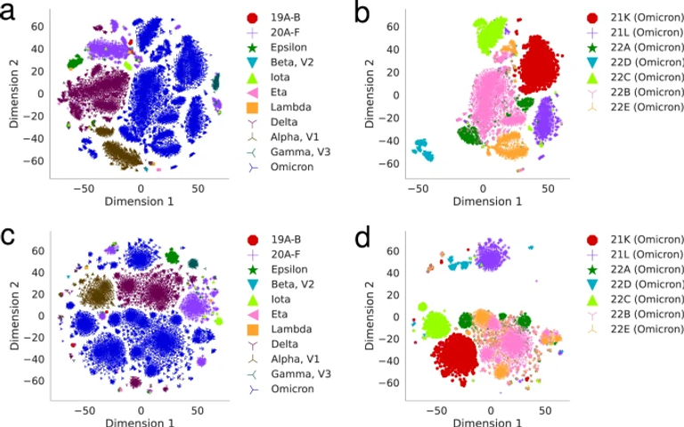 Paying attention to the SARS-CoV-2 dialect : a deep neural network approach to predicting novel protein mutations