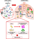 COVID-19: a potential driver of immune-mediated breast cancer recurrence?